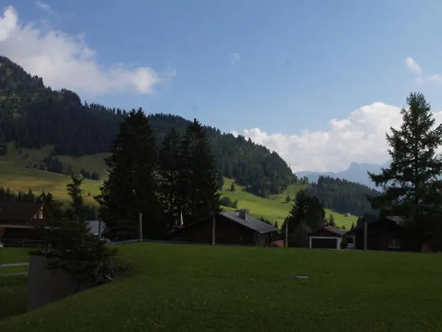 Bischofberger D20 Apartament Amden