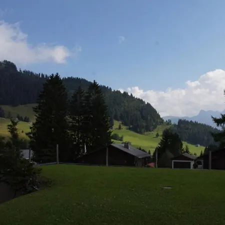 Bischofberger D20 Apartament Amden