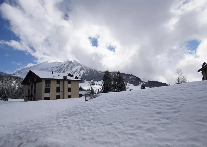 Bischofberger D20 艾姆敦