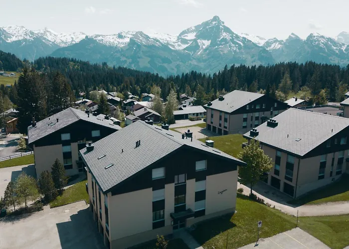 Bischofberger D20 公寓 *